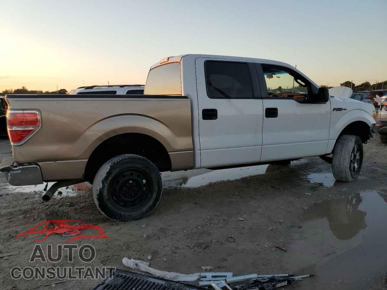 FORD F-150 2012 - 1FTFW1CF2CKD17530