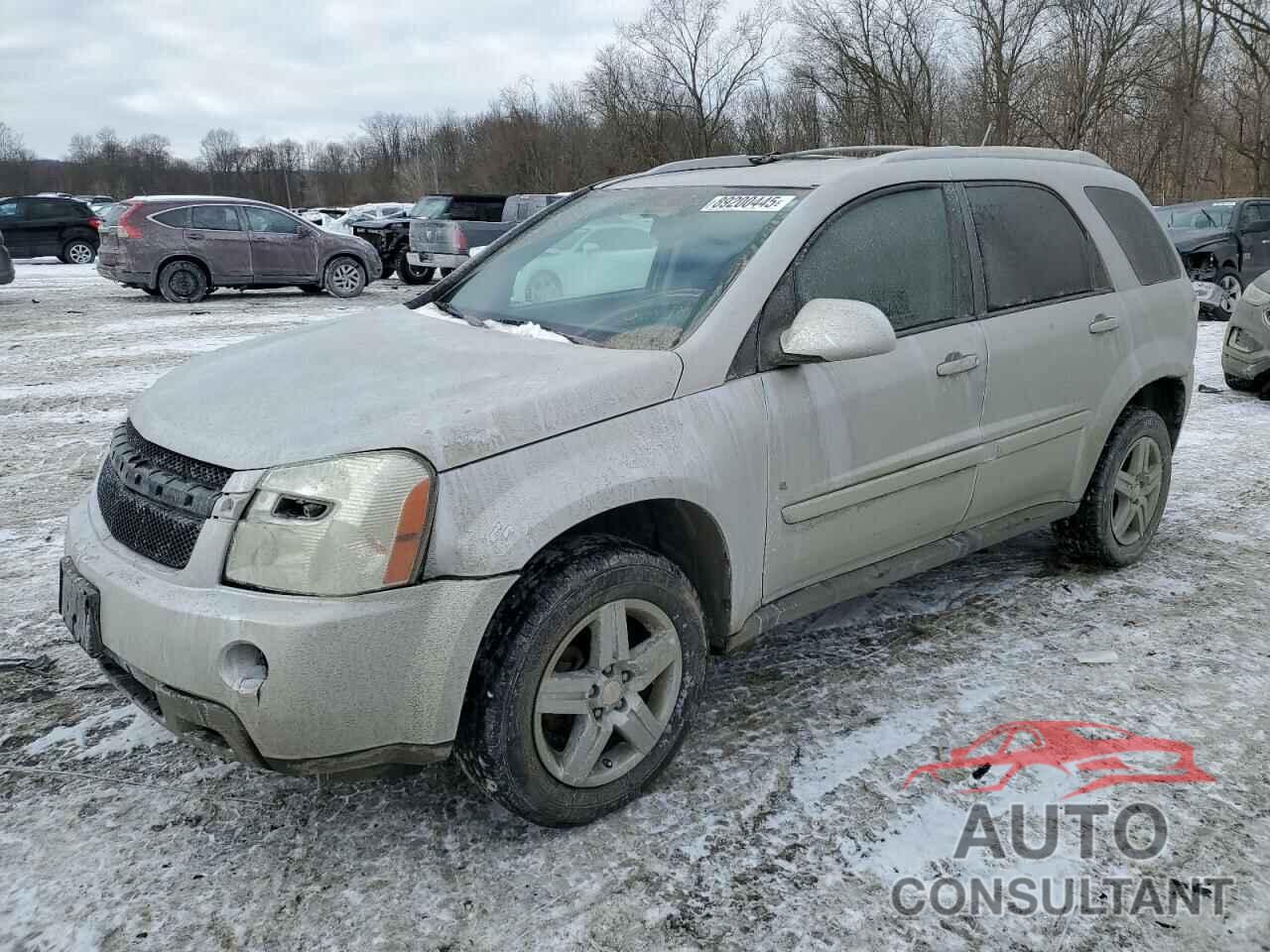 CHEVROLET EQUINOX 2009 - 2CNDL33F896230217