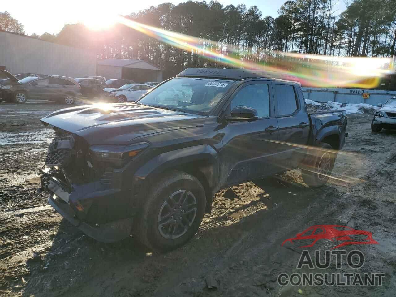 TOYOTA TACOMA 2024 - 3TMLB5JN4RM061778