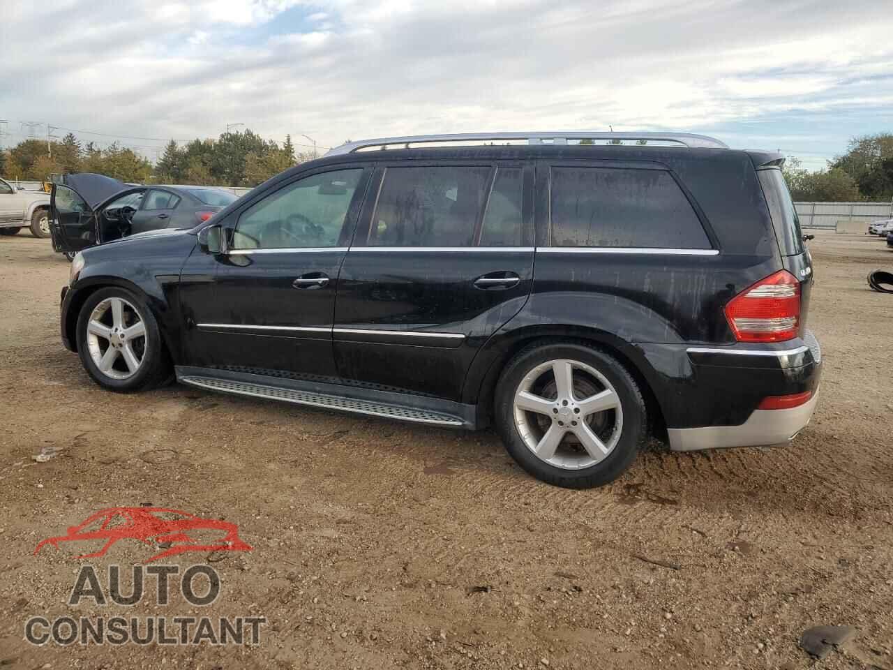 MERCEDES-BENZ GL-CLASS 2009 - 4JGBF71E99A451764