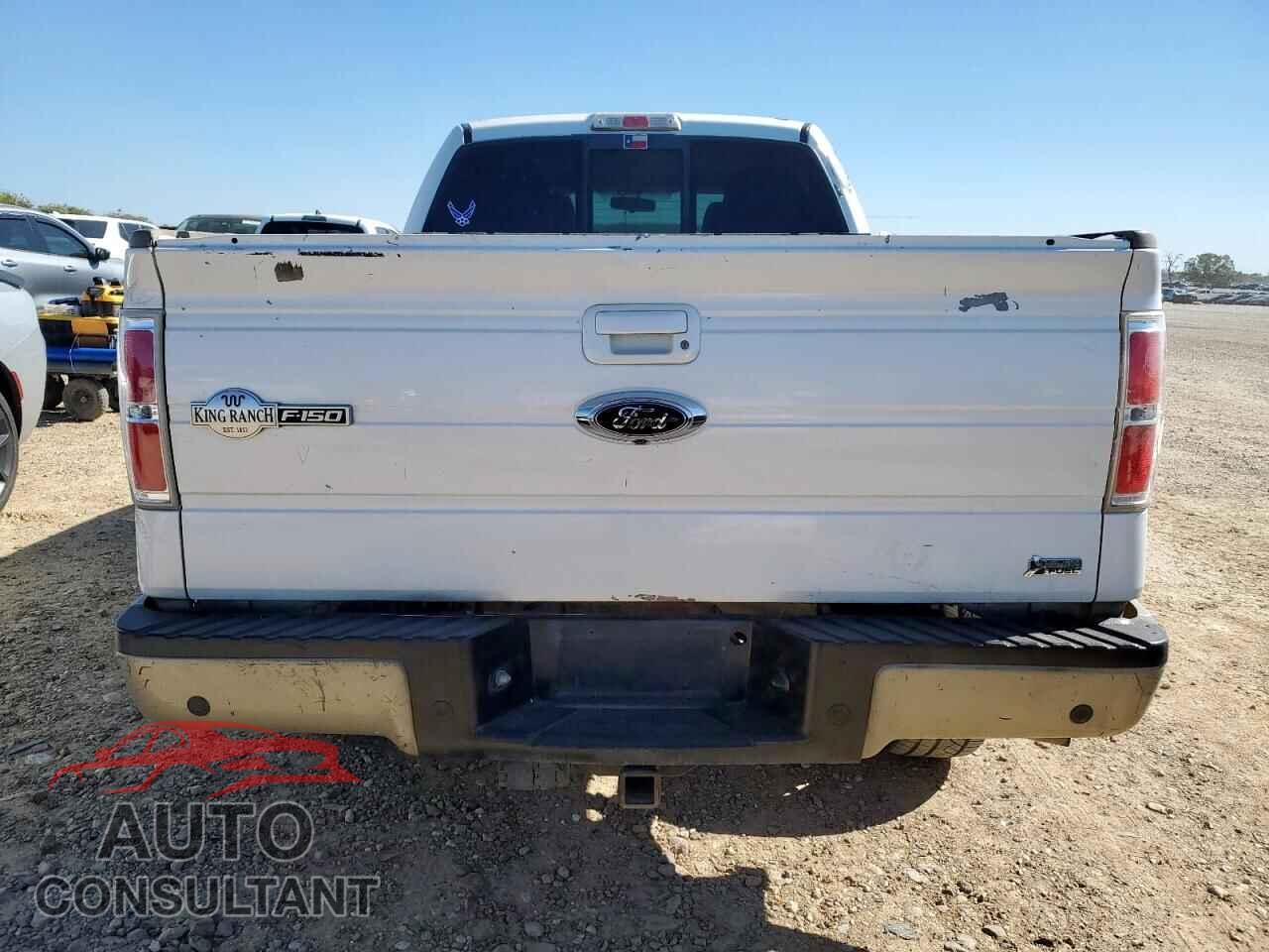 FORD F-150 2010 - 1FTFW1EV2AKB98234