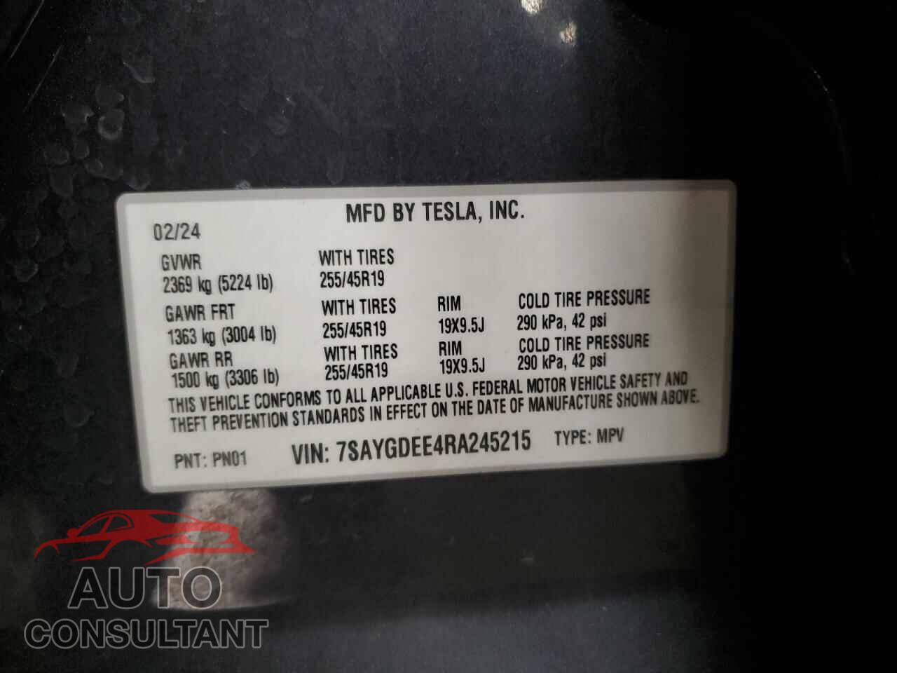 TESLA MODEL Y 2024 - 7SAYGDEE4RA245215
