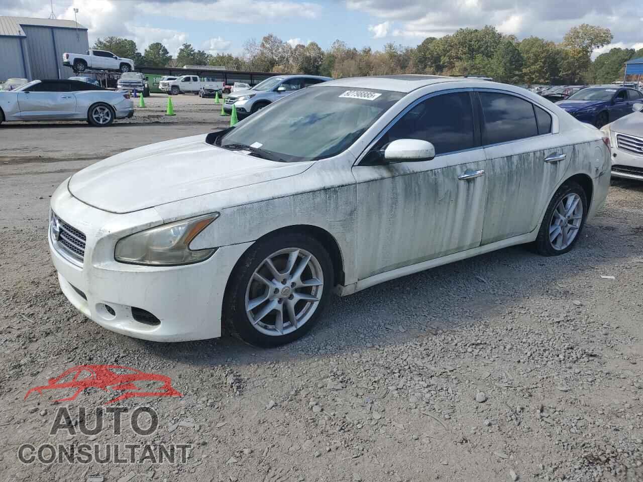 NISSAN MAXIMA 2009 - 1N4AA51E79C827150