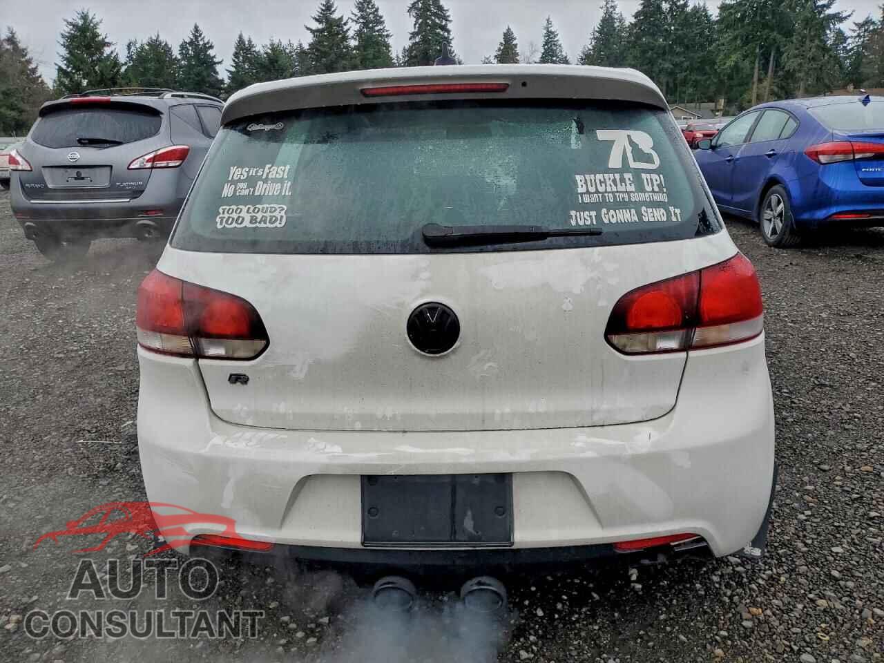 VOLKSWAGEN GOLF 2013 - WVWPF7AJ9DW079779