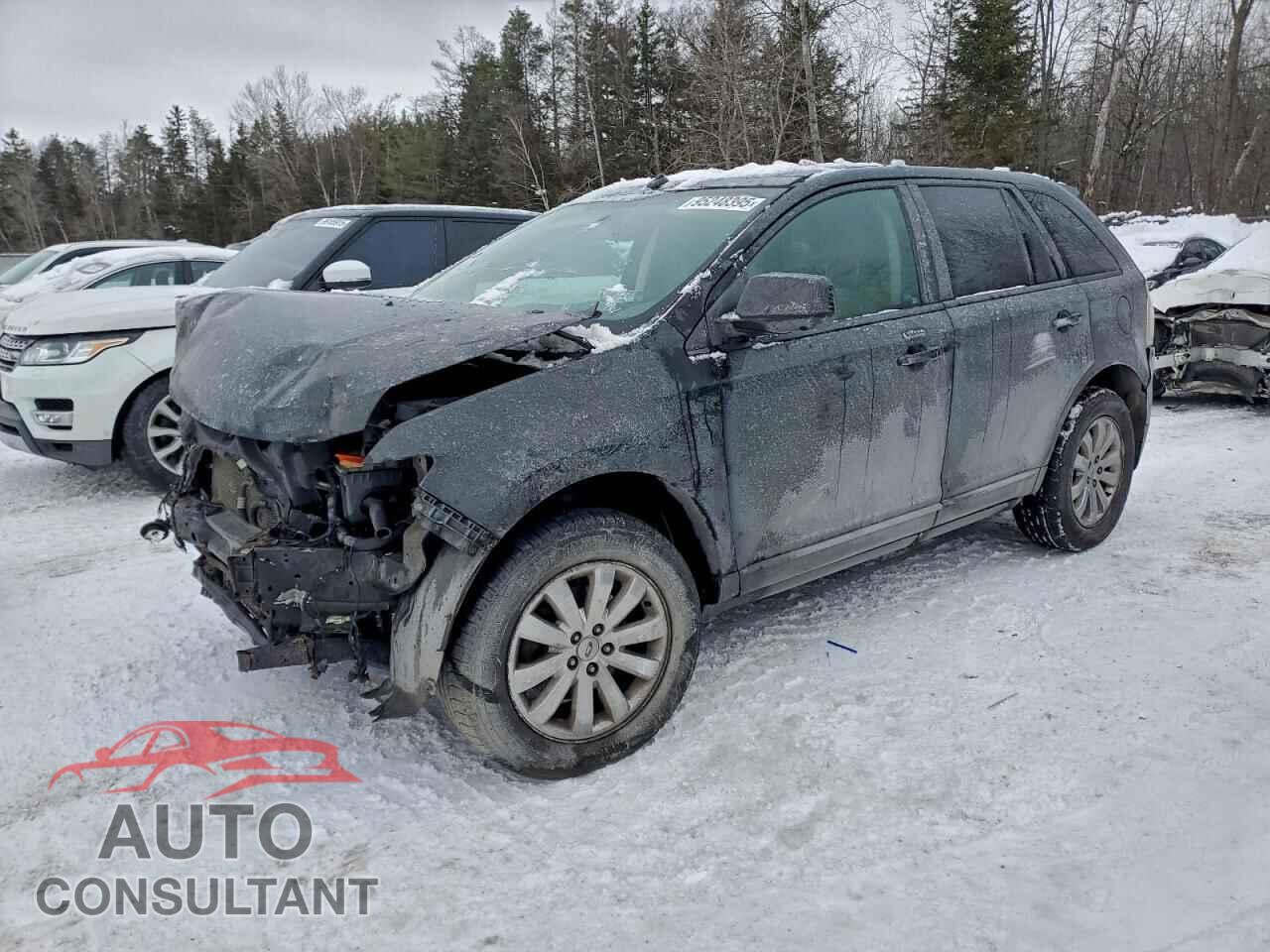 FORD EDGE 2009 - 2FMDK38C09BA70794