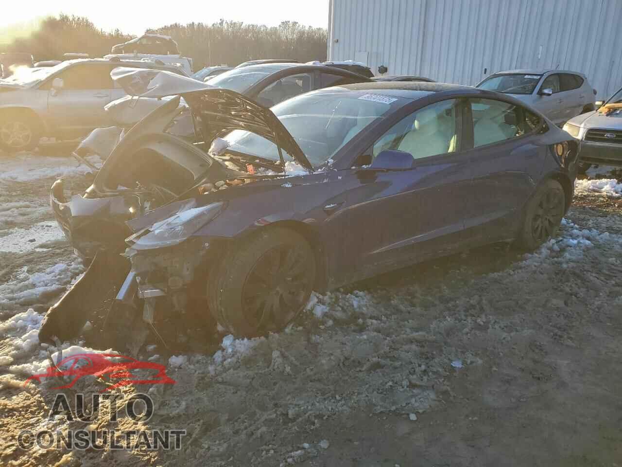 TESLA MODEL 3 2021 - 5YJ3E1EB7MF913747