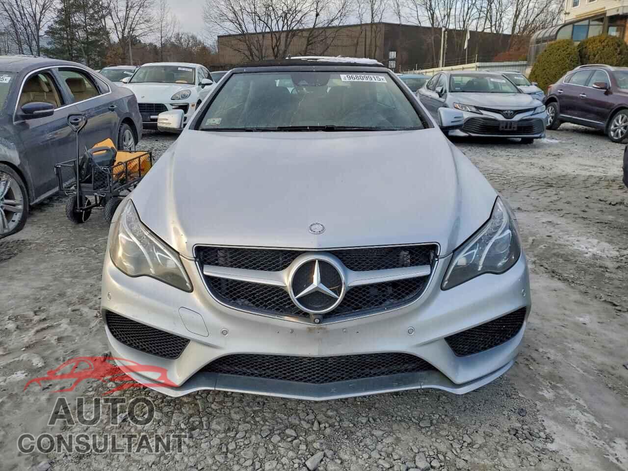 MERCEDES-BENZ E-CLASS 2014 - WDDKK7DF3EF254869