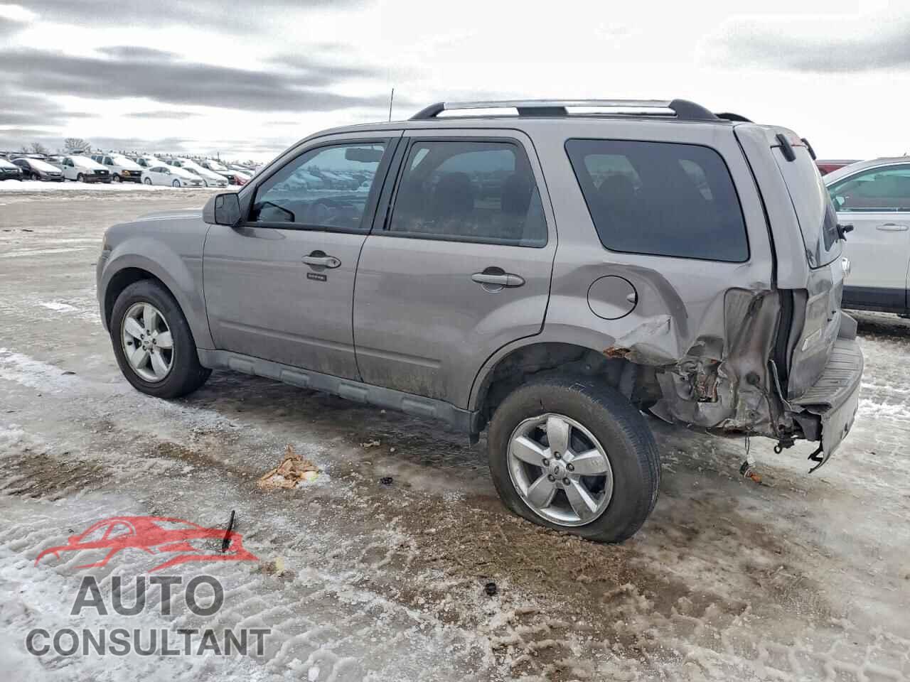 FORD ESCAPE 2010 - 1FMCU0E70AKD05300