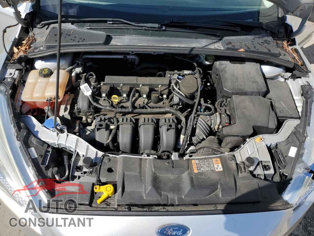 FORD FOCUS 2016 - 1FADP3E24GL304357