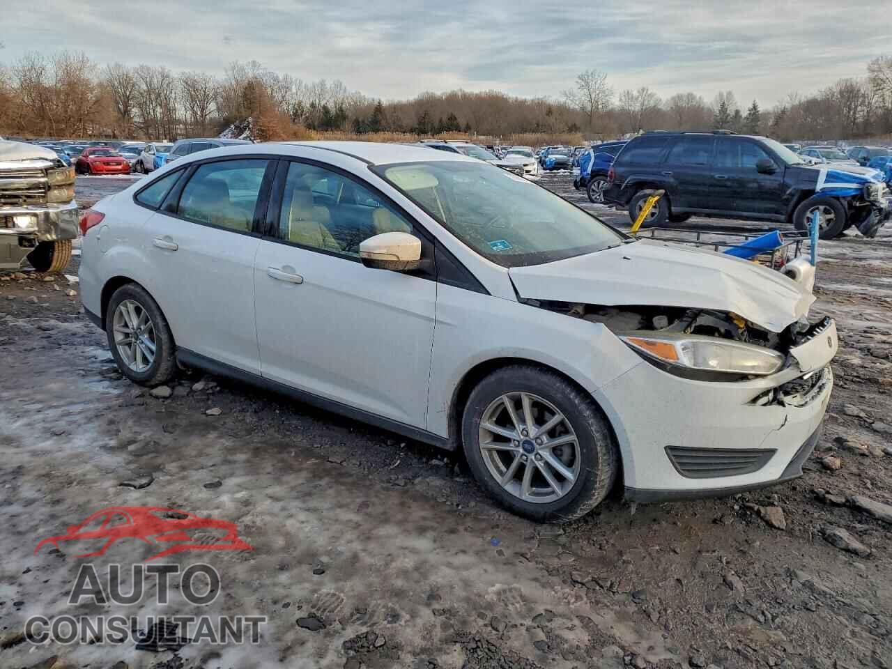 FORD FOCUS 2016 - 1FADP3F29GL306748