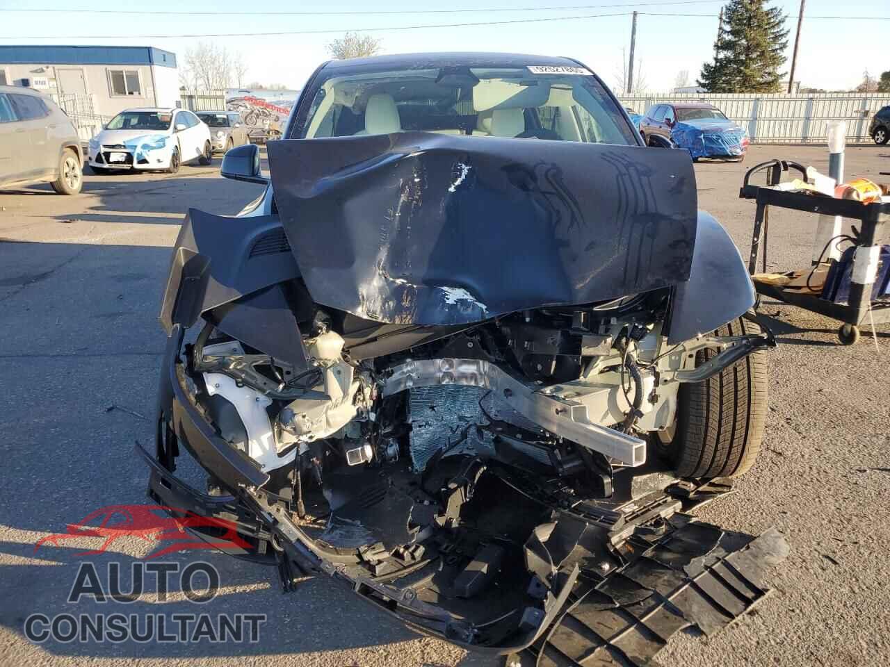TESLA MODEL Y 2026 - 7SAYGDEE8TA475573