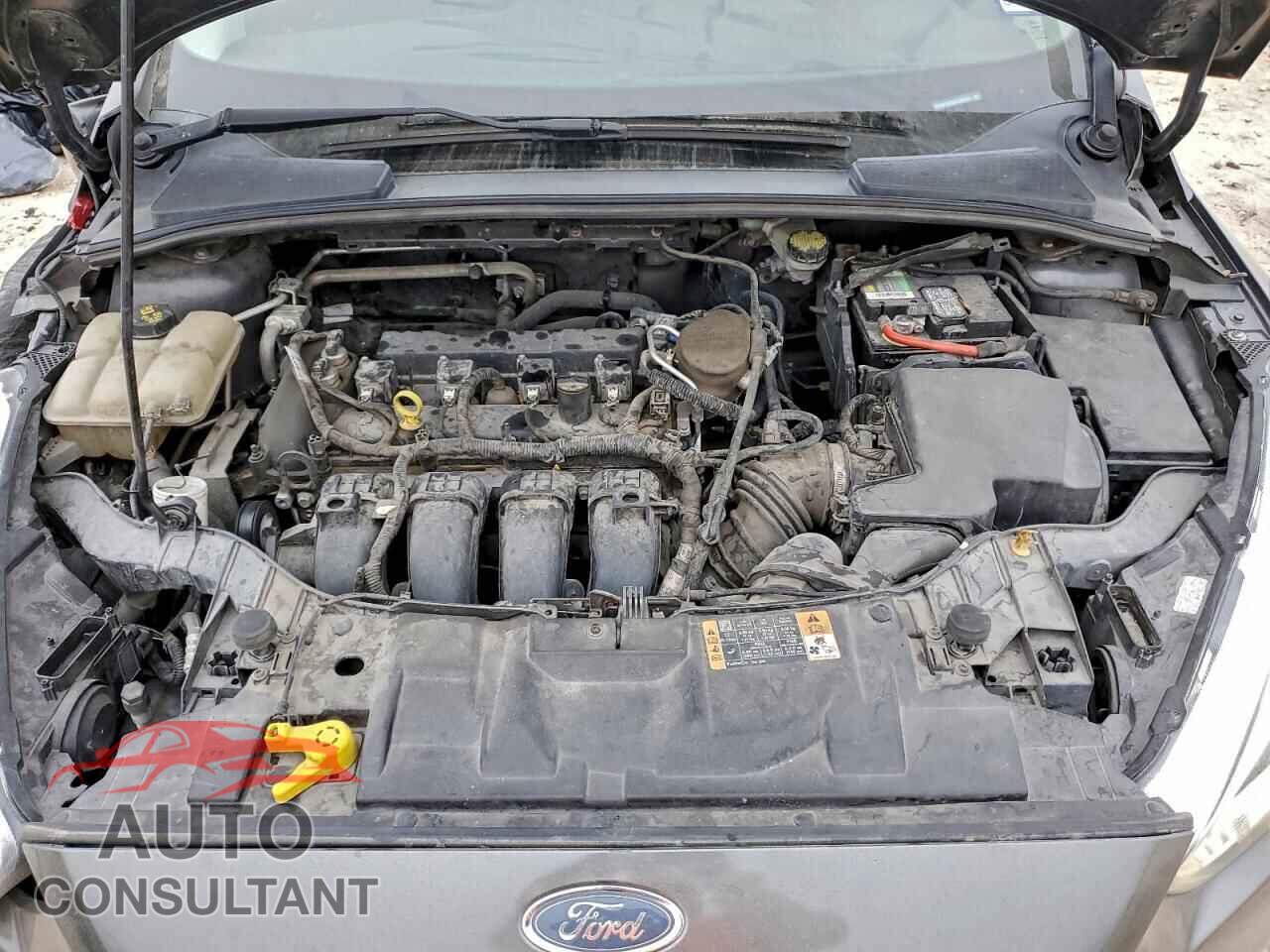 FORD FOCUS 2016 - 1FADP3F25GL305161