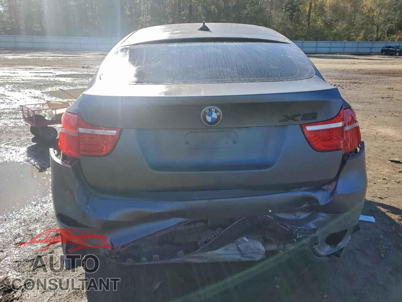 BMW X6 2011 - 5UXFG2C54BLX08020