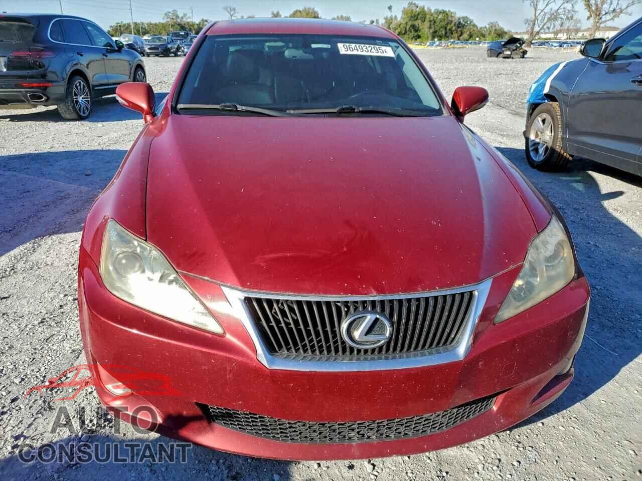 LEXUS IS 2009 - JTHBK262295096333