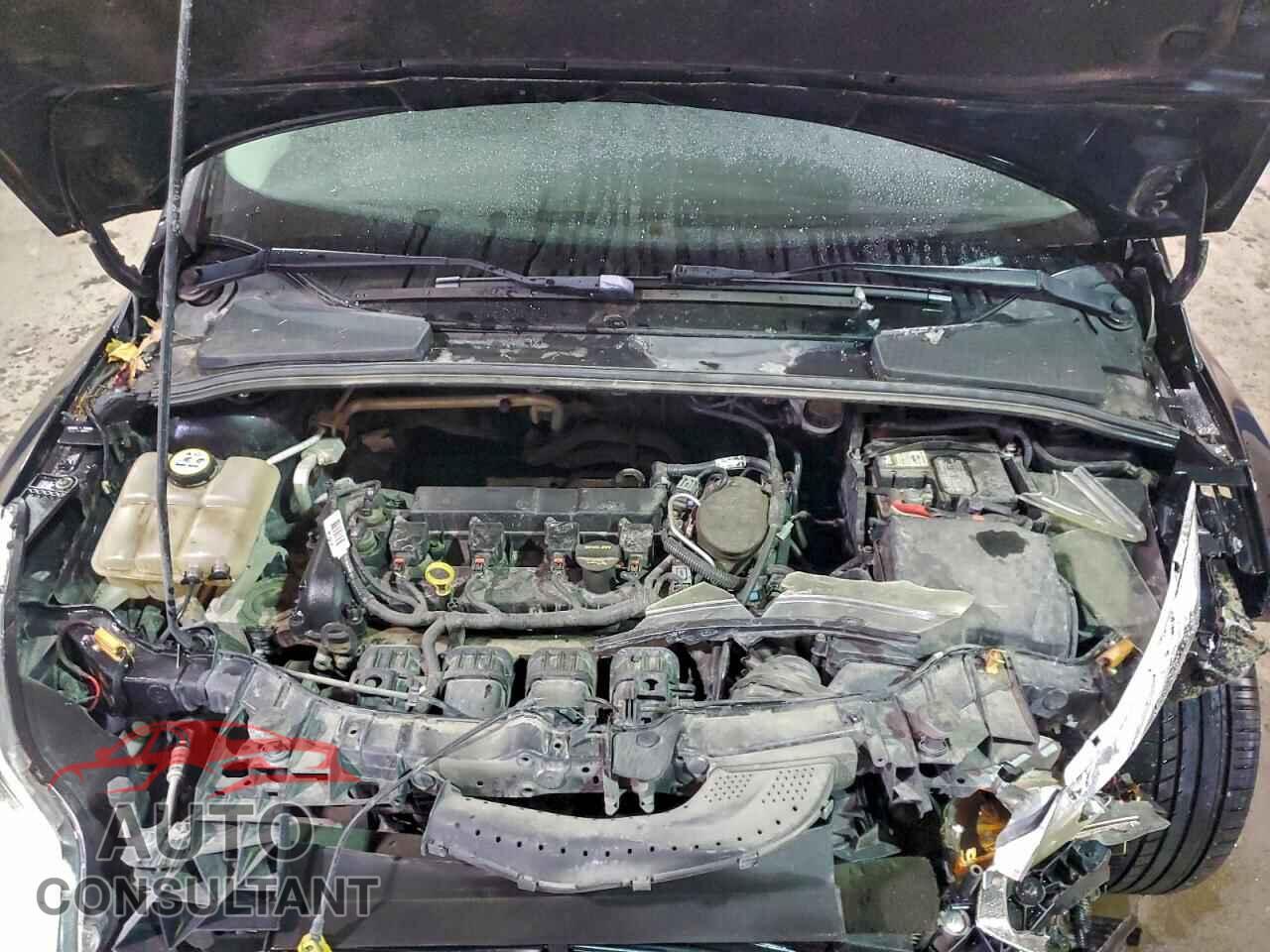 FORD FOCUS 2013 - 1FADP3F21DL270615