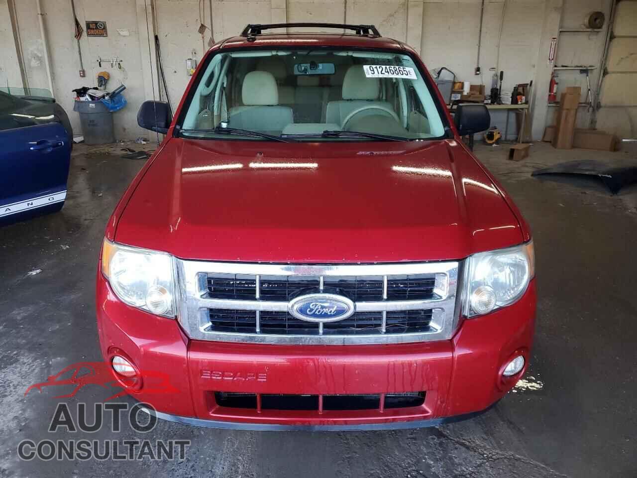 FORD ESCAPE 2011 - 1FMCU0D75BKA56611