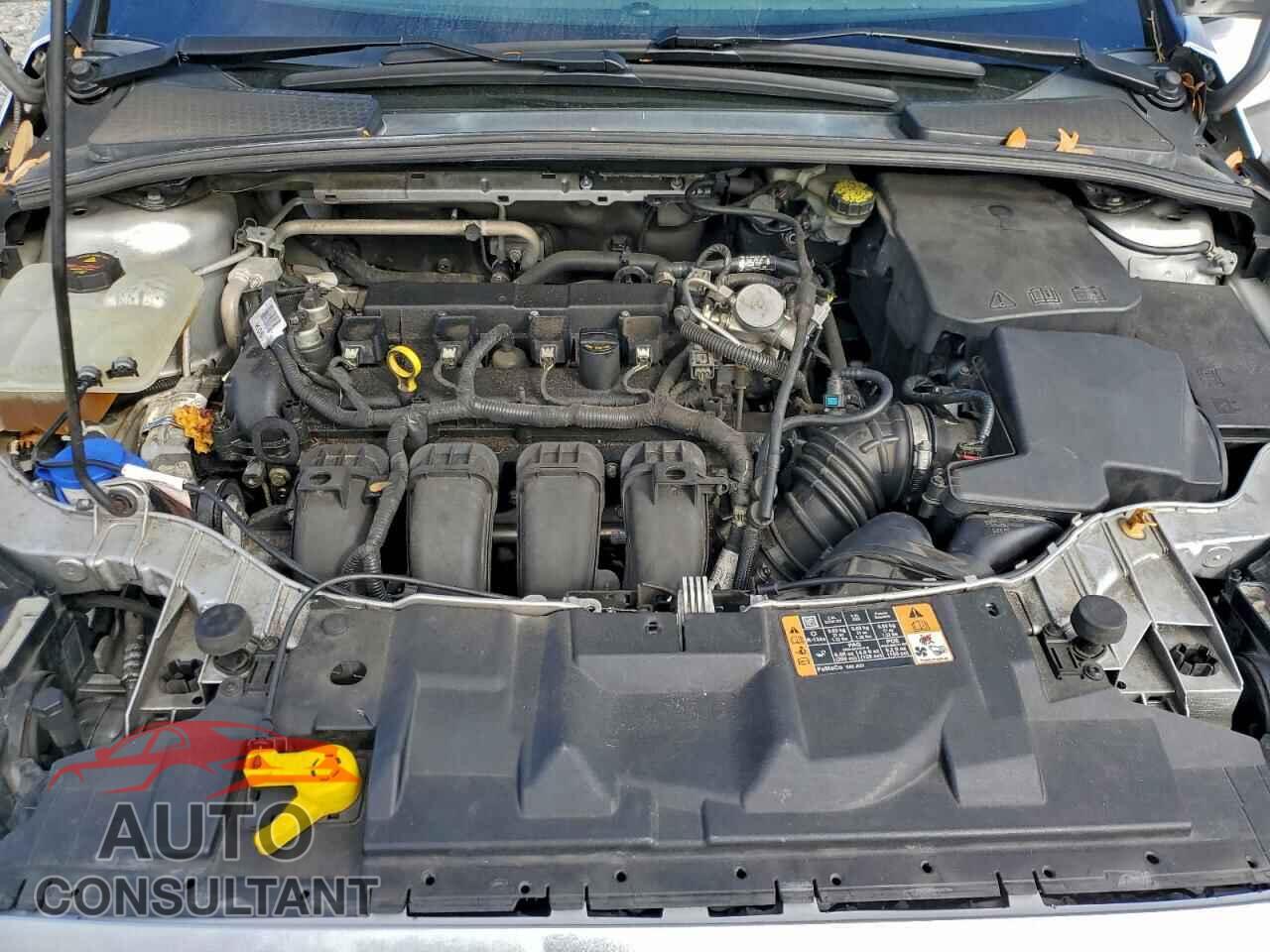 FORD FOCUS 2016 - 1FADP3F25GL402425