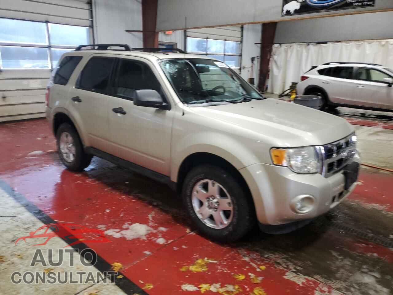FORD ESCAPE 2010 - 1FMCU9D73AKD43724