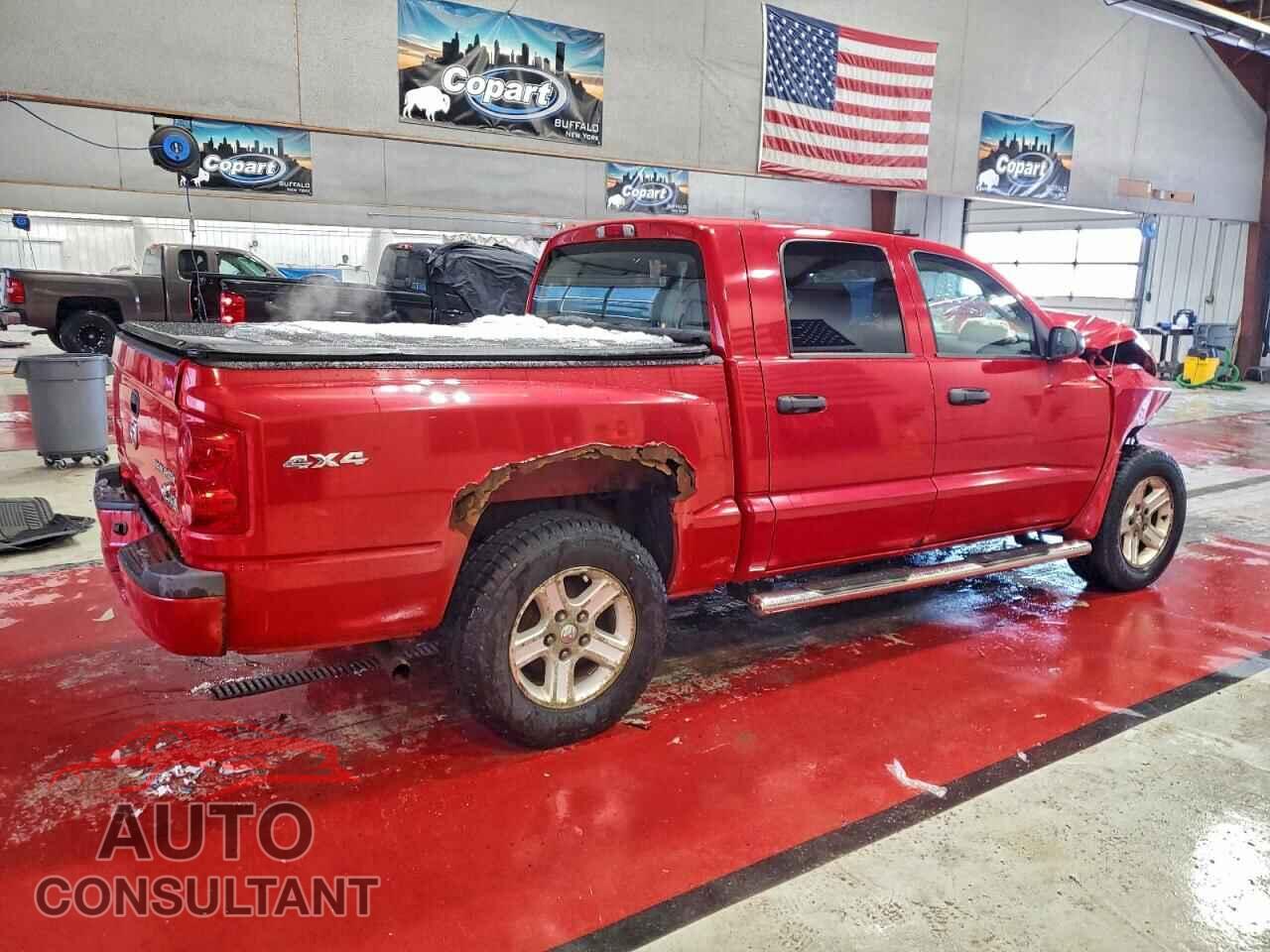 DODGE DAKOTA 2011 - 1D7RW3GK7BS577457