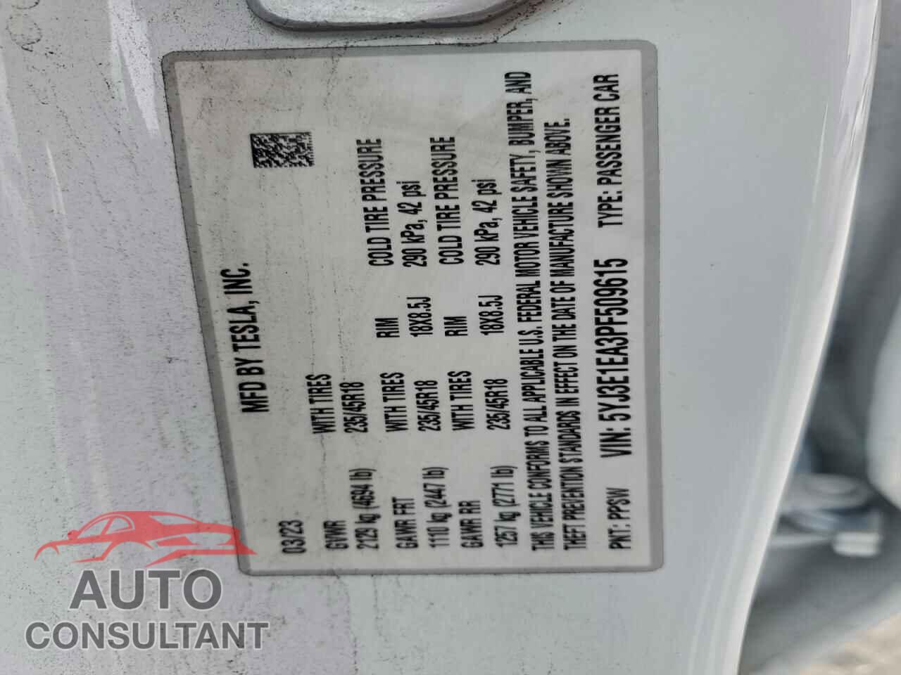 TESLA MODEL 3 2023 - 5YJ3E1EA3PF509615