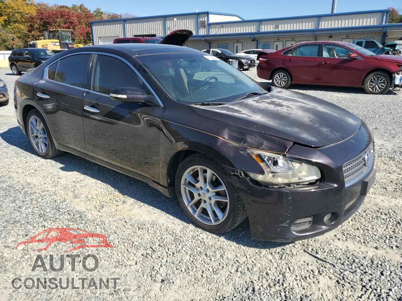 NISSAN MAXIMA 2011 - 1N4AA5AP4BC856256