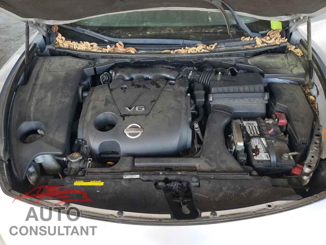 NISSAN MAXIMA 2011 - 1N4AA5AP8BC855921