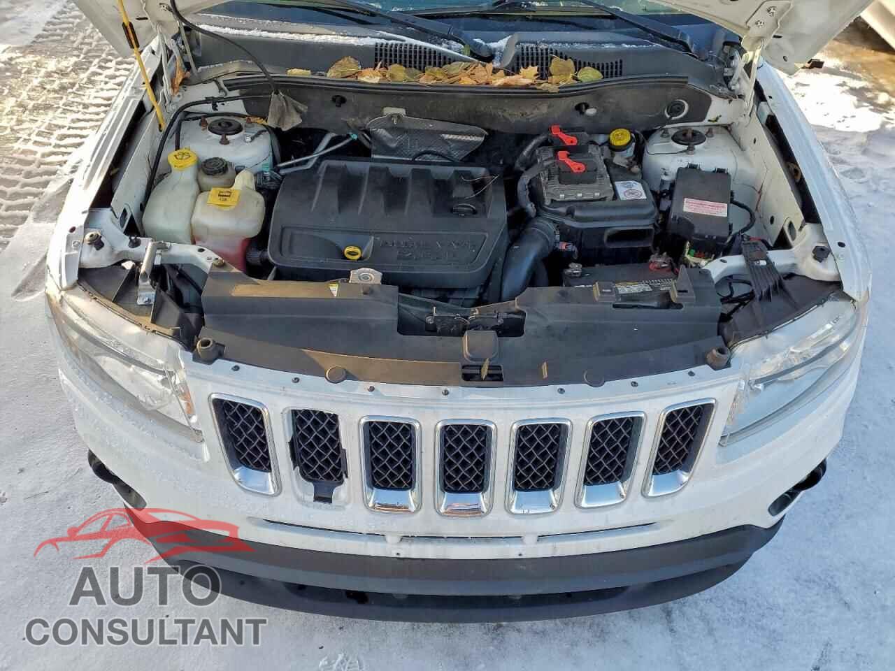 JEEP COMPASS 2011 - 1J4NF5FB2BD235340