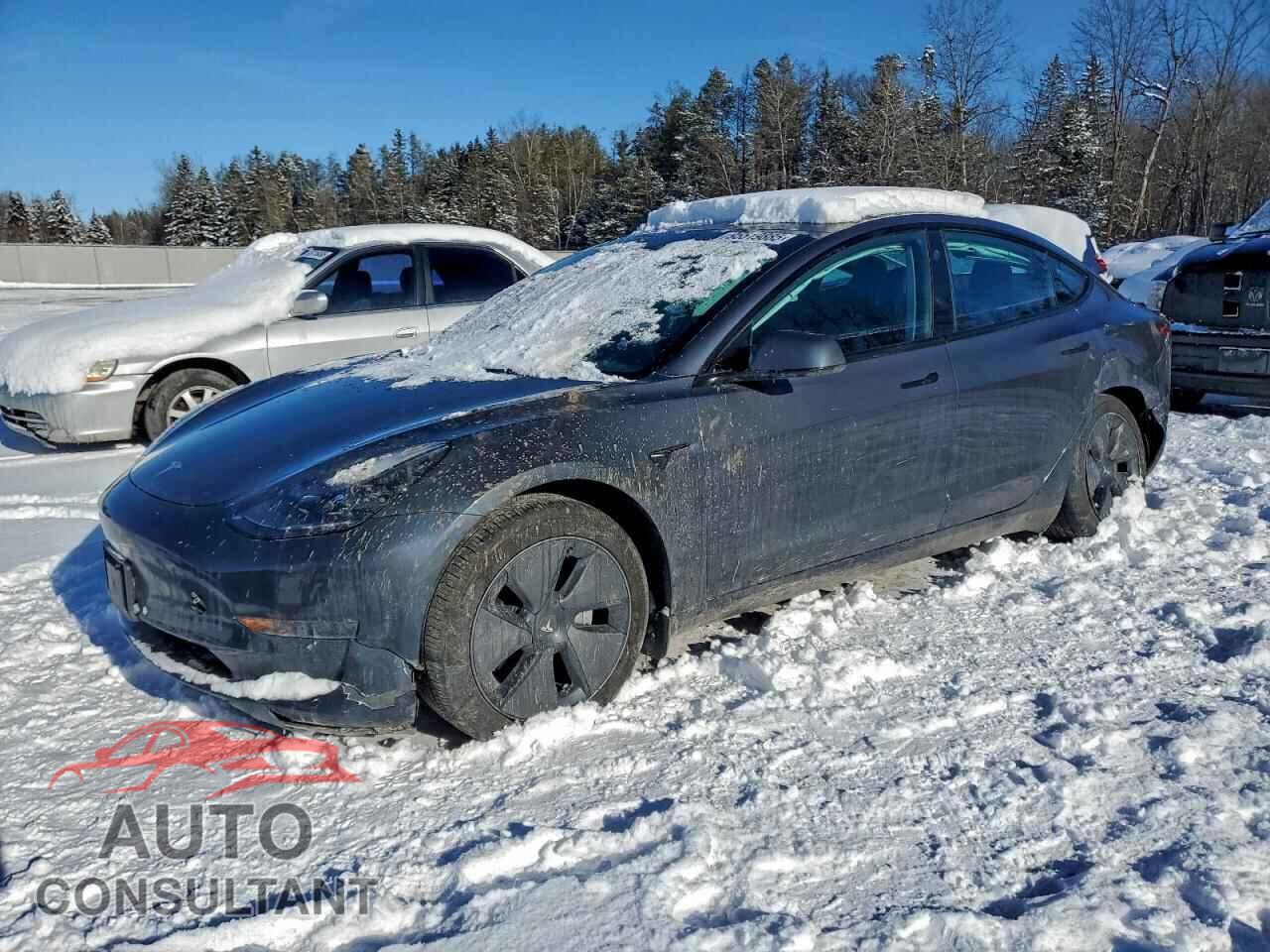 TESLA MODEL 3 2023 - LRW3E1FA2PC891743