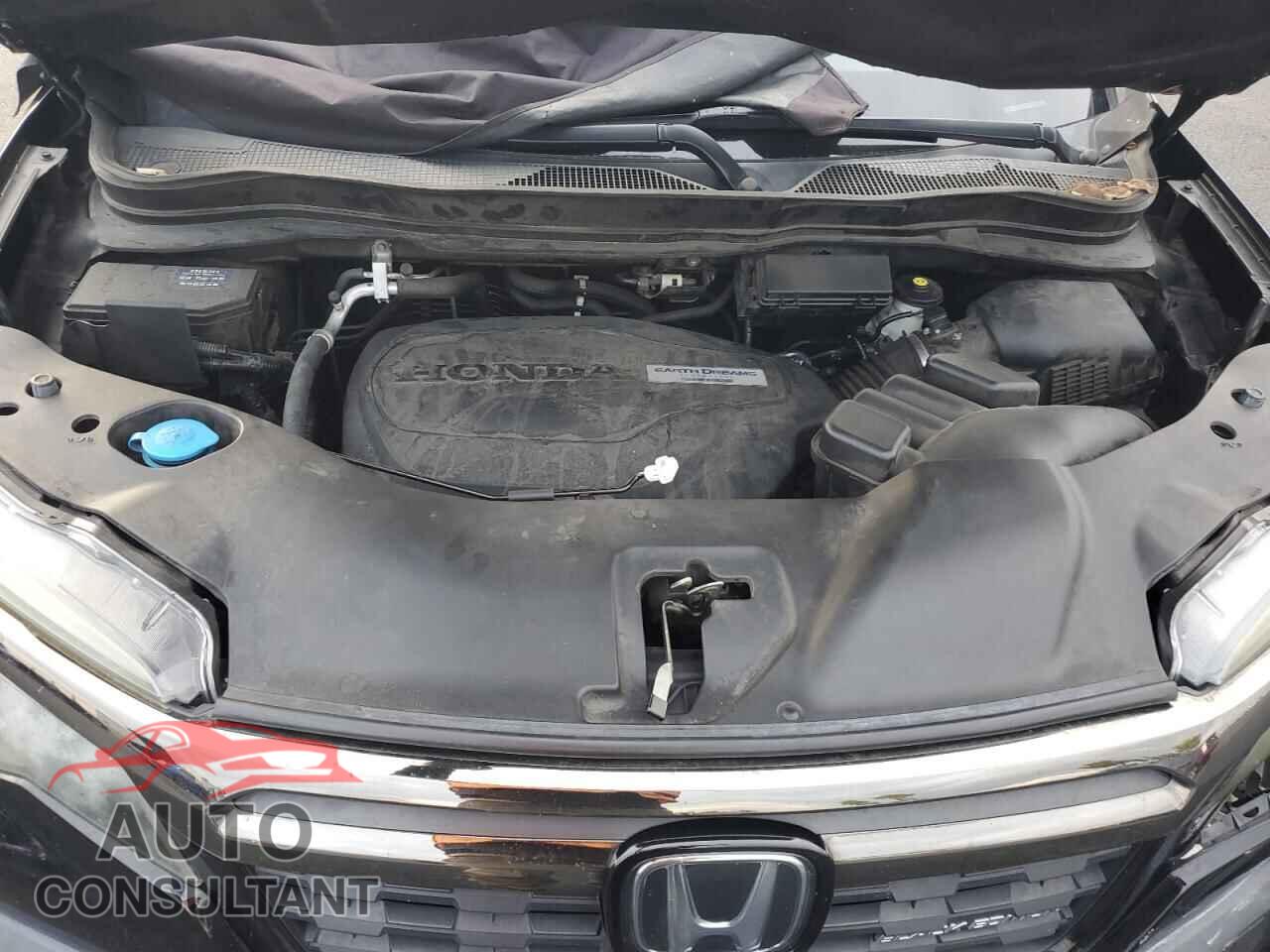 HONDA RIDGELINE 2019 - 5FPYK3F83KB007791