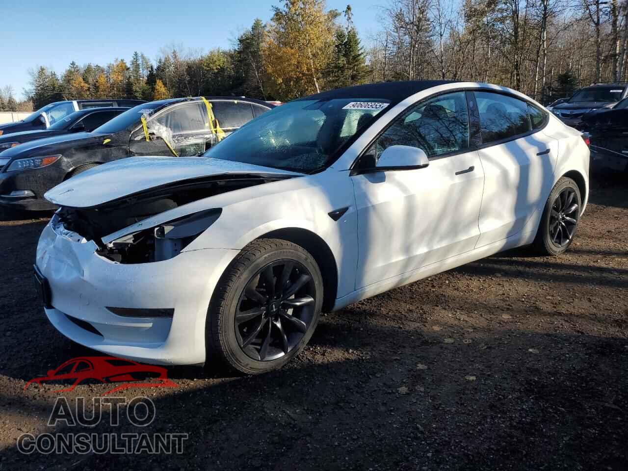 TESLA MODEL 3 2023 - LRW3E1FA6PC843047