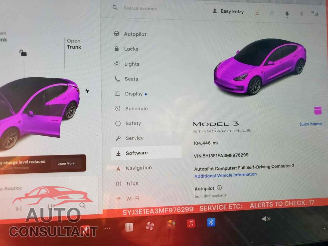TESLA MODEL 3 2021 - 5YJ3E1EA3MF976299