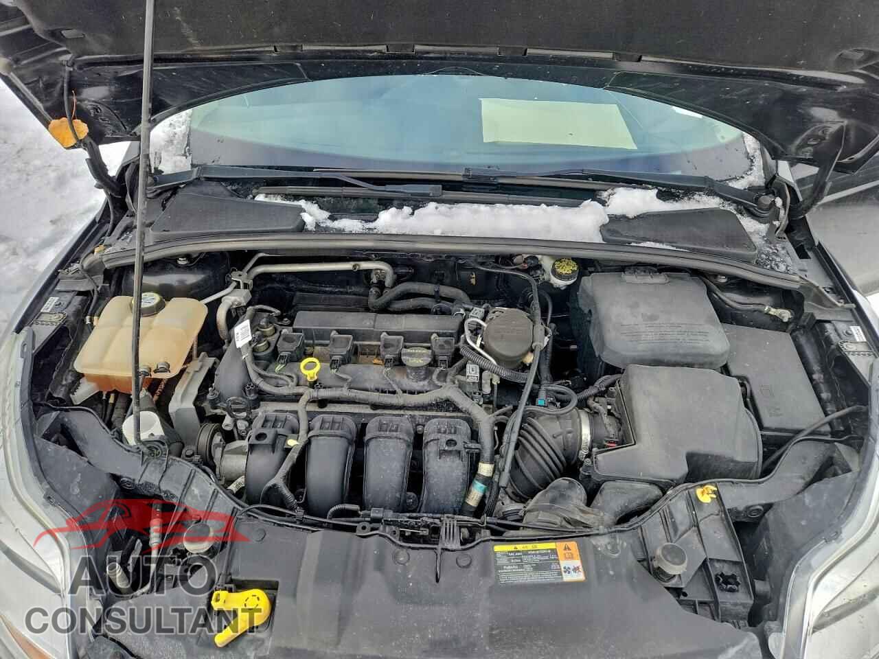 FORD FOCUS 2012 - 1FAHP3M2XCL401608