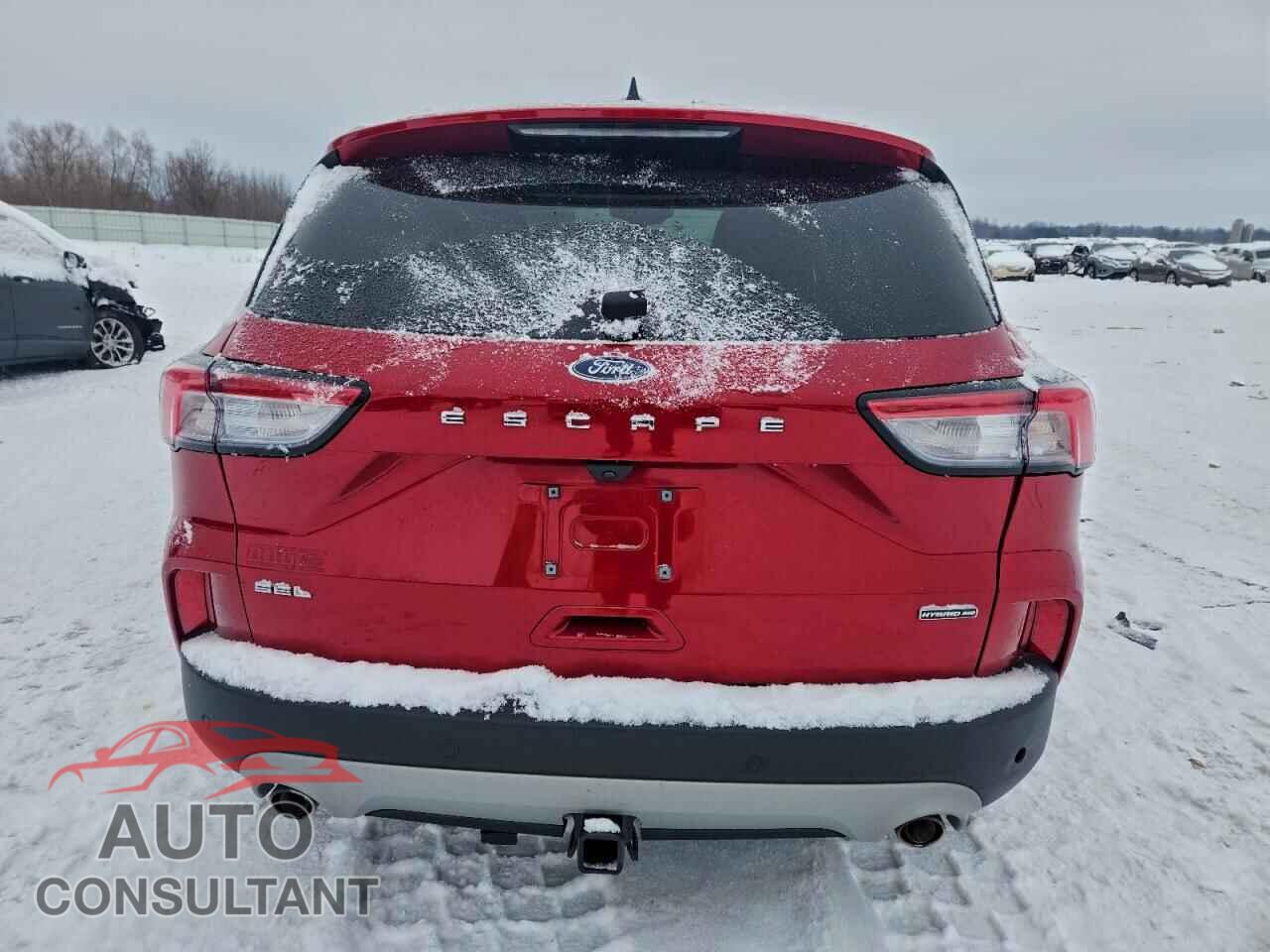 FORD ESCAPE 2021 - 1FMCU9CZ8MUB03080