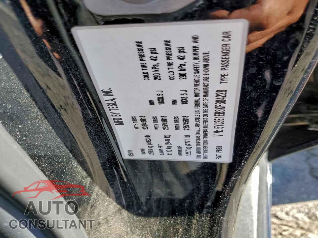TESLA MODEL 3 2019 - 5YJ3E1EB3KF384228