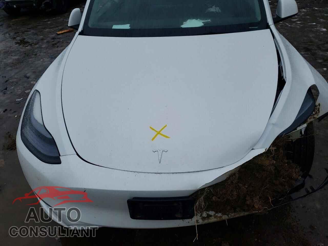 TESLA MODEL Y 2023 - LRWYGDFD0PC929997