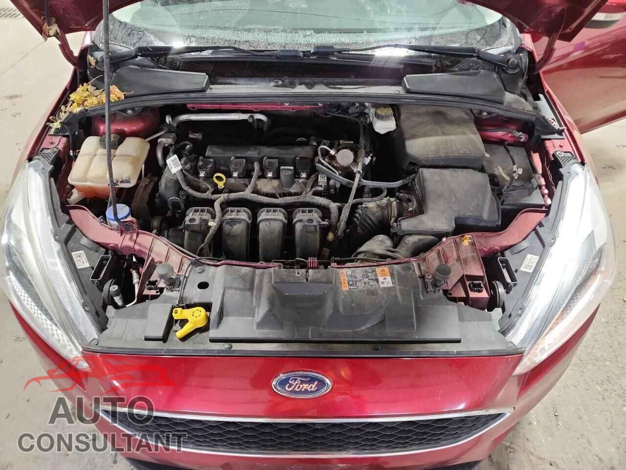 FORD FOCUS 2017 - 1FADP3F29HL295980