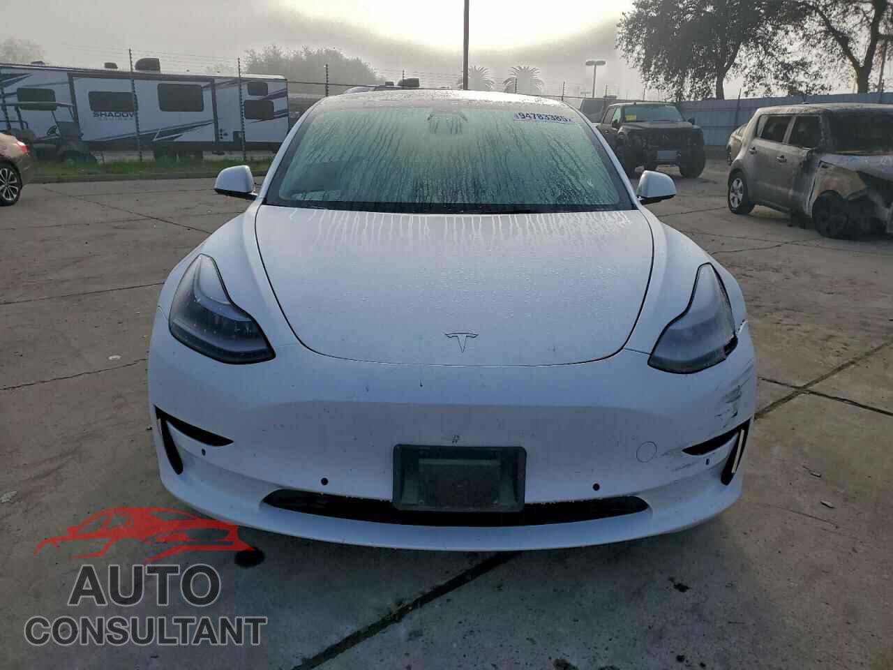 TESLA MODEL 3 2021 - 5YJ3E1EA7MF093810
