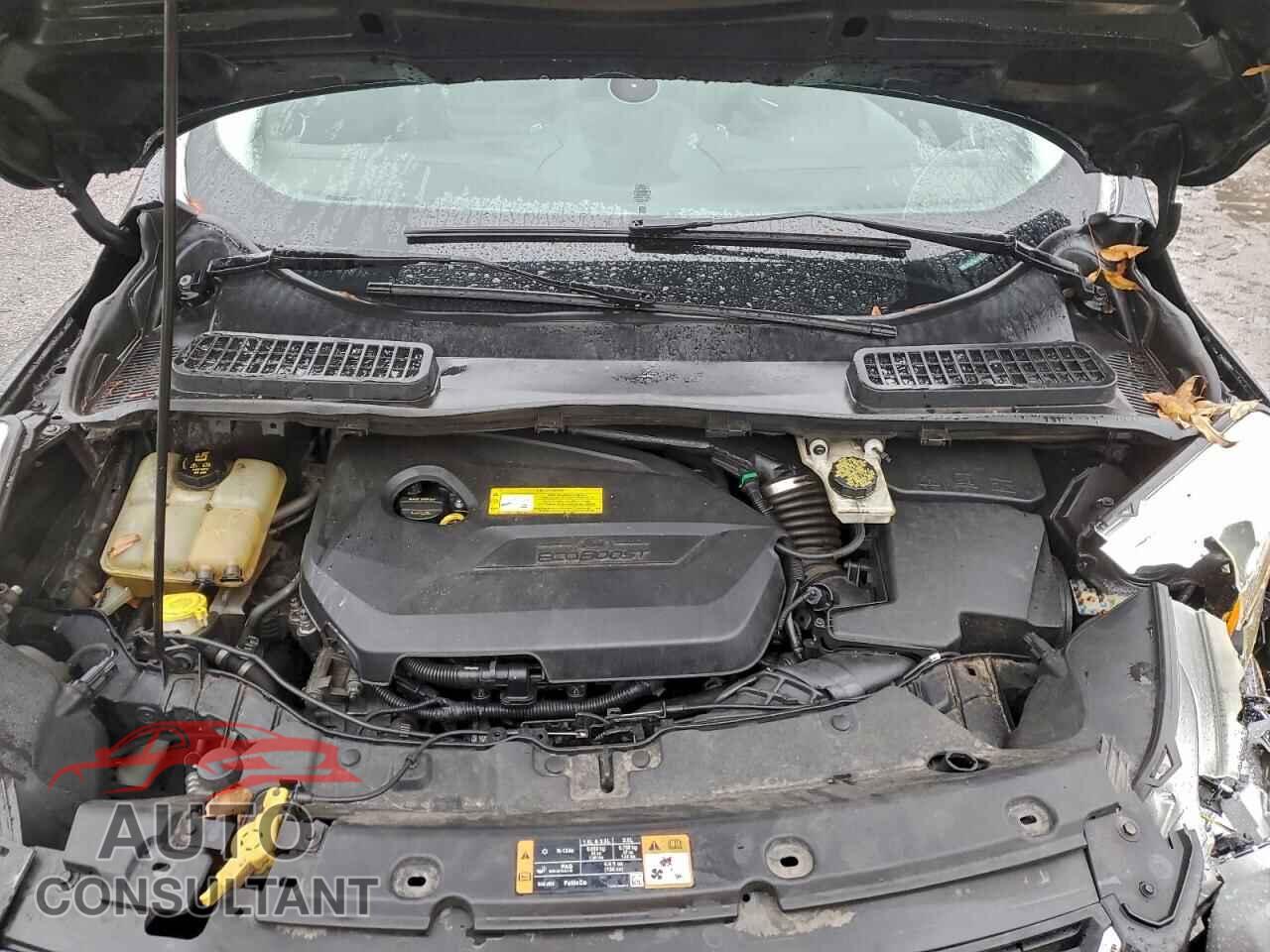FORD ESCAPE 2016 - 1FMCU9JX5GUA79813