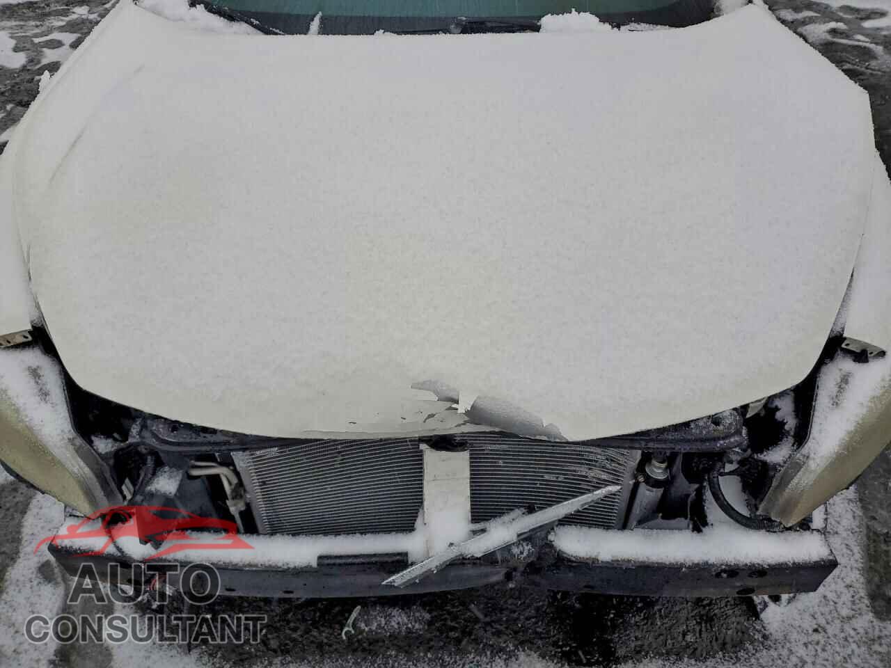 NISSAN MAXIMA 2010 - 1N4AA5AP1AC825433