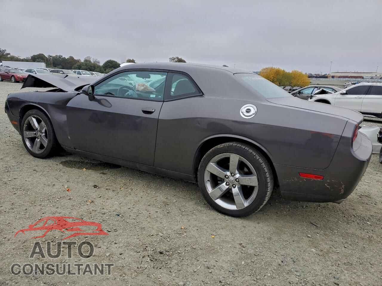 DODGE CHALLENGER 2014 - 2C3CDYAG4EH256208