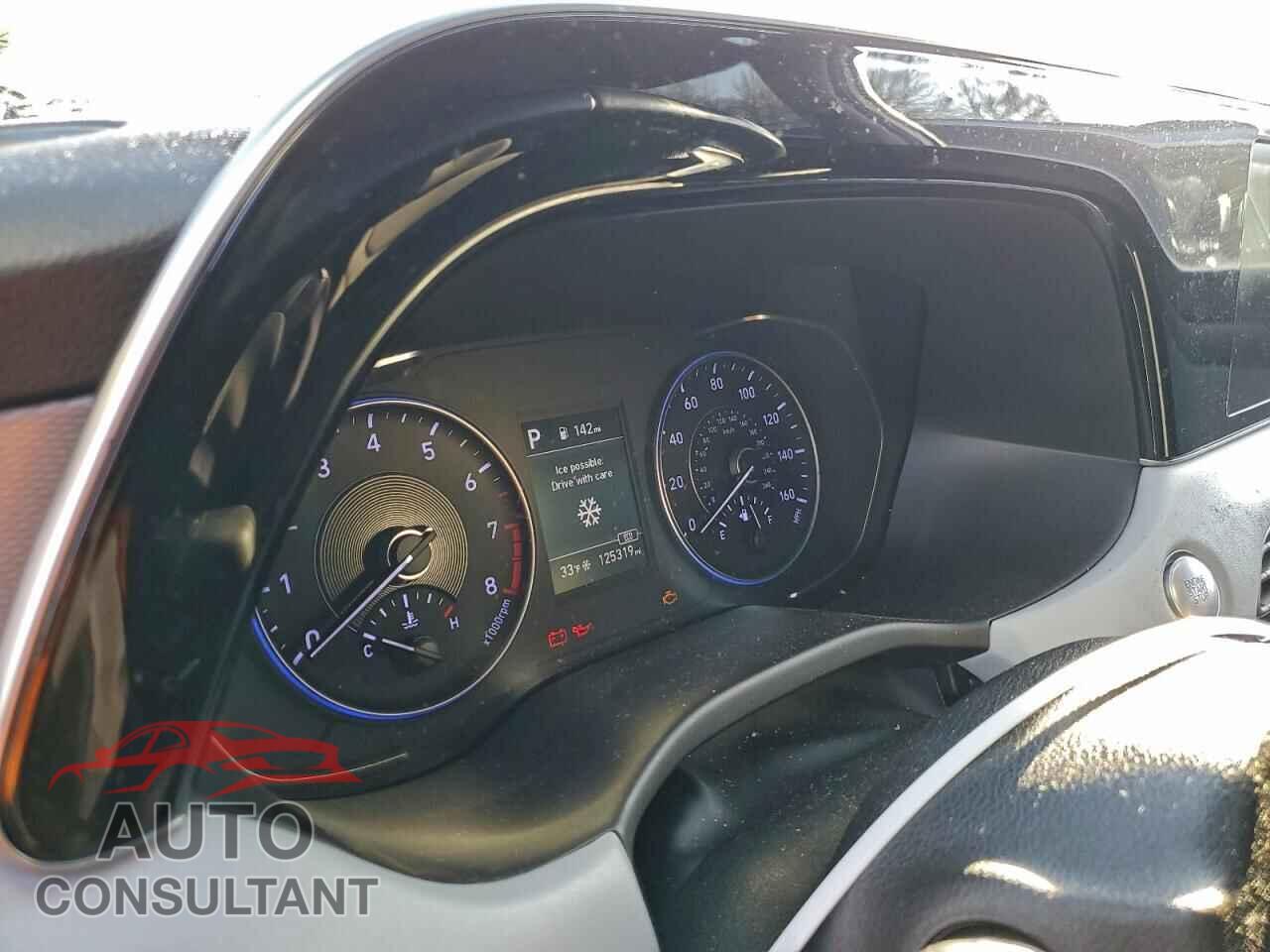 HYUNDAI PALISADE 2020 - KM8R2DHEXLU090131