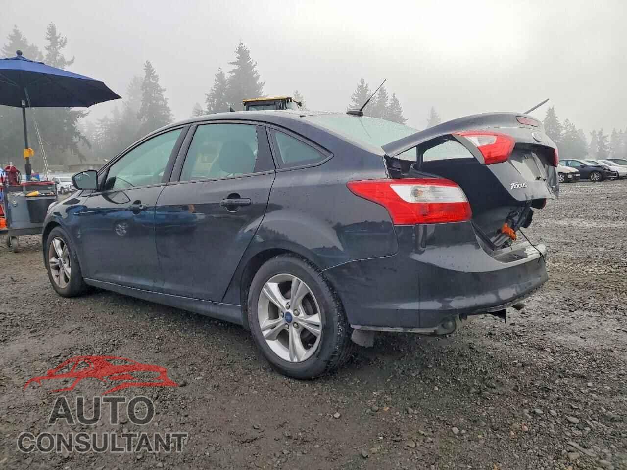 FORD FOCUS 2014 - 1FADP3F22EL391008
