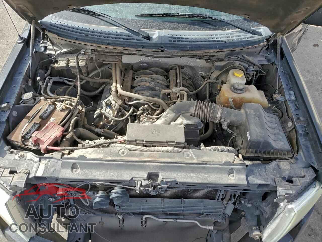 FORD F-150 2014 - 1FTFW1EF4EKE37796