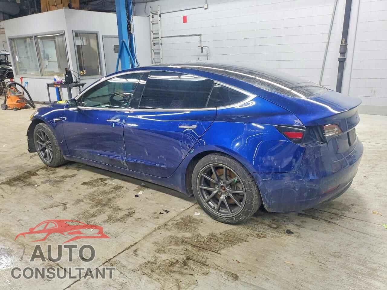 TESLA MODEL 3 2019 - 5YJ3E1EB8KF492974
