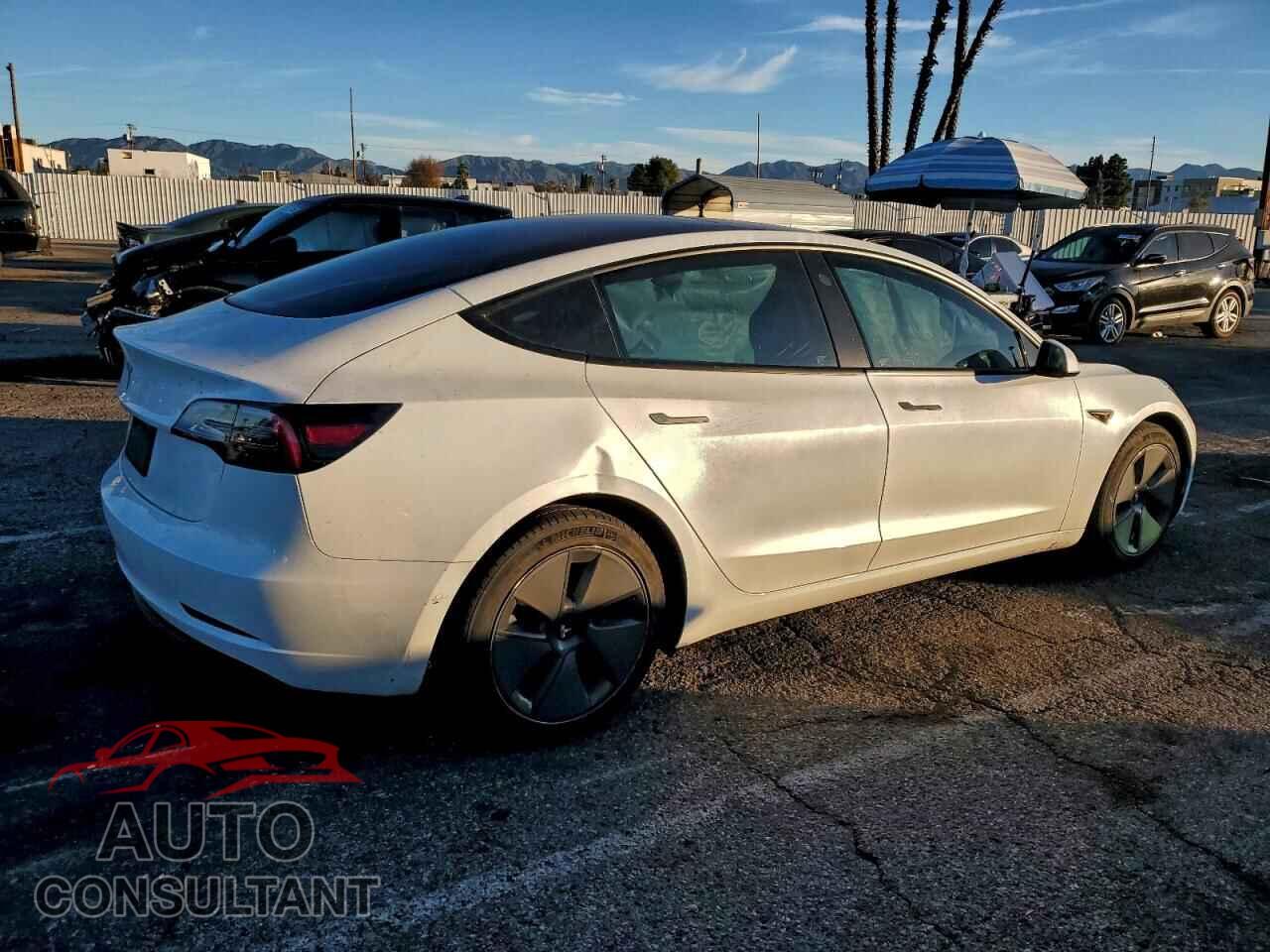 TESLA MODEL 3 2021 - 5YJ3E1EA6MF002736