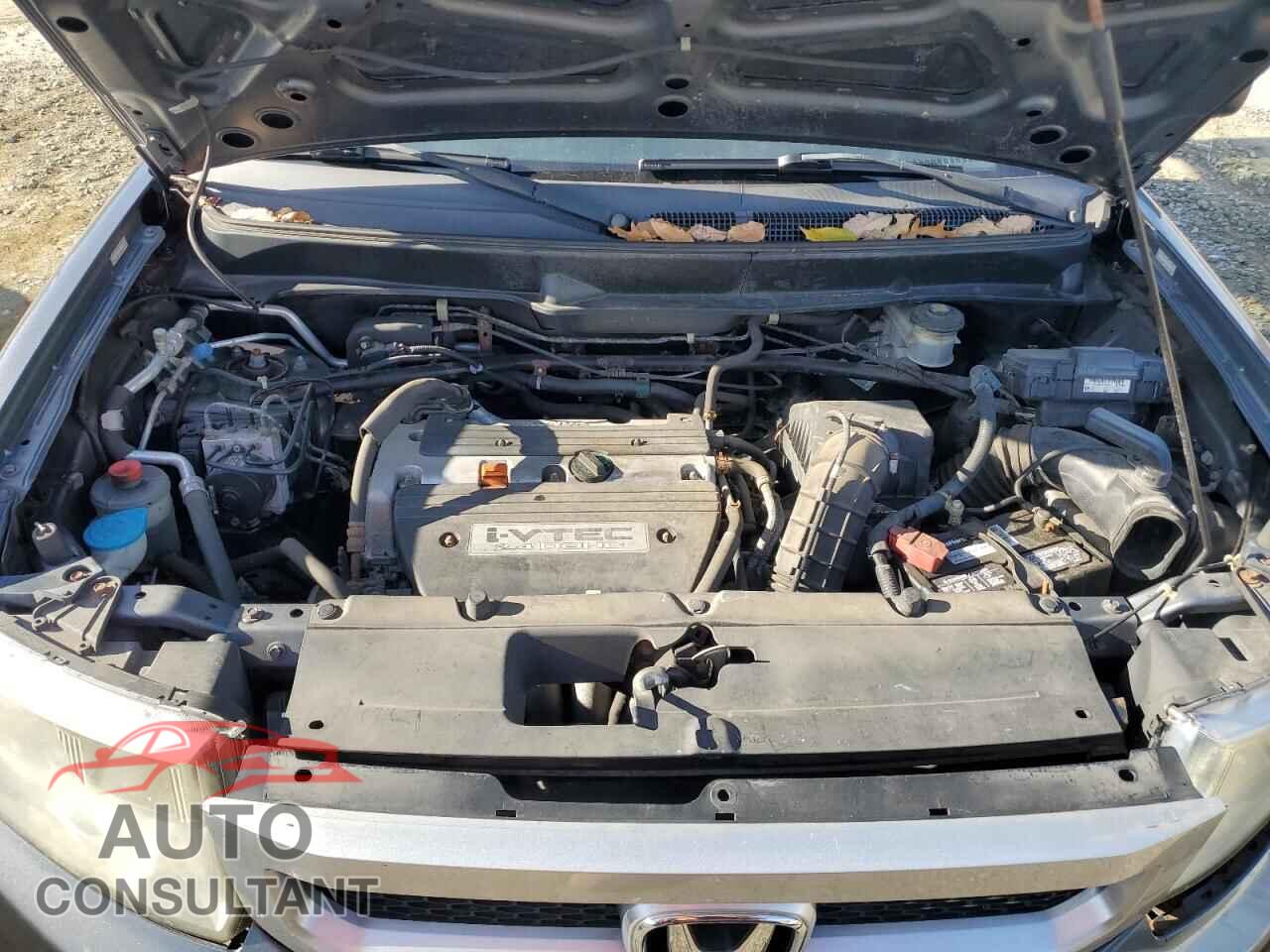 HONDA ELEMENT 2011 - 5J6YH2H78BL002440