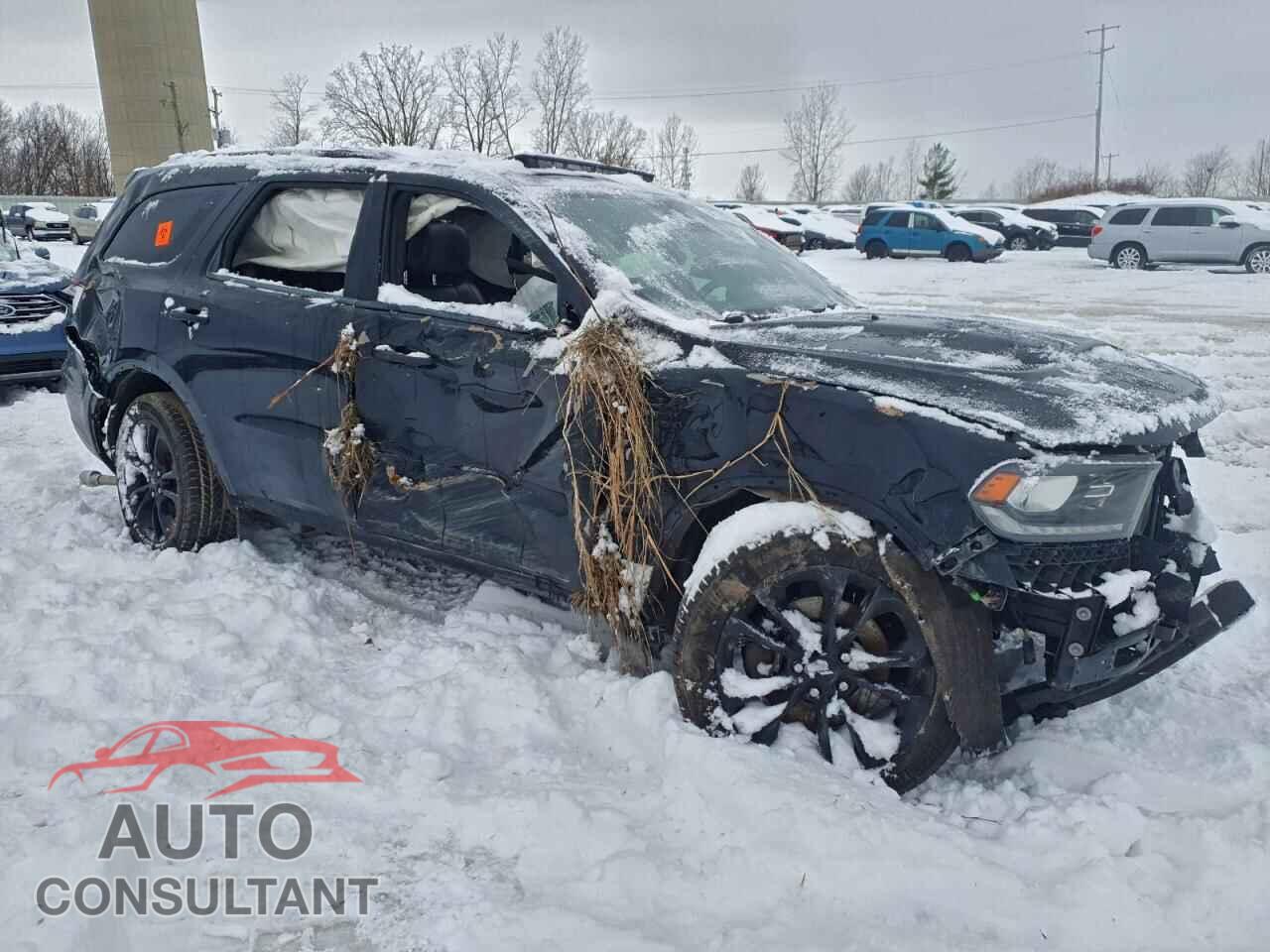 DODGE DURANGO 2020 - 1C4SDJCT7LC411830