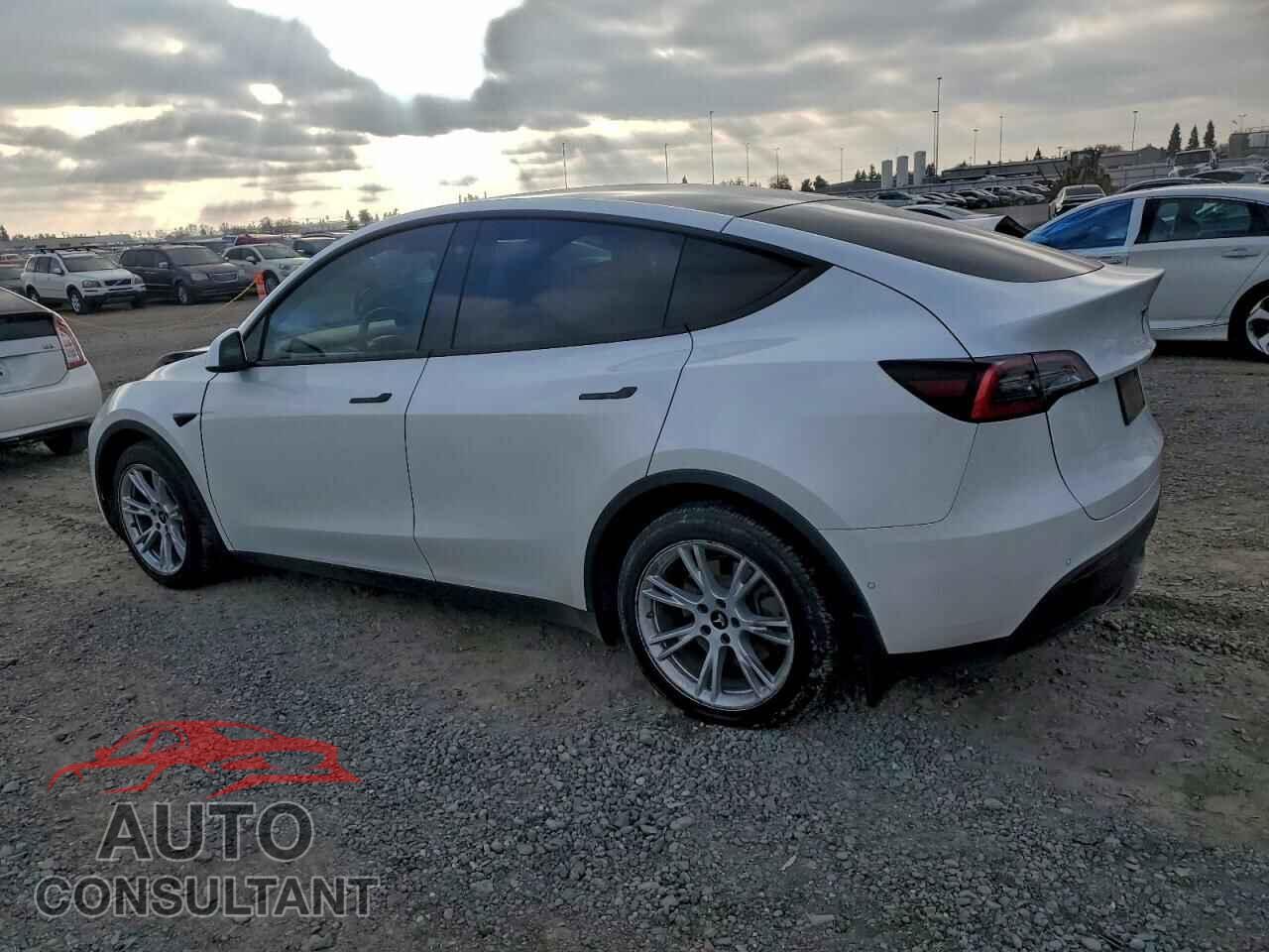 TESLA MODEL Y 2021 - 5YJYGDEEXMF122317
