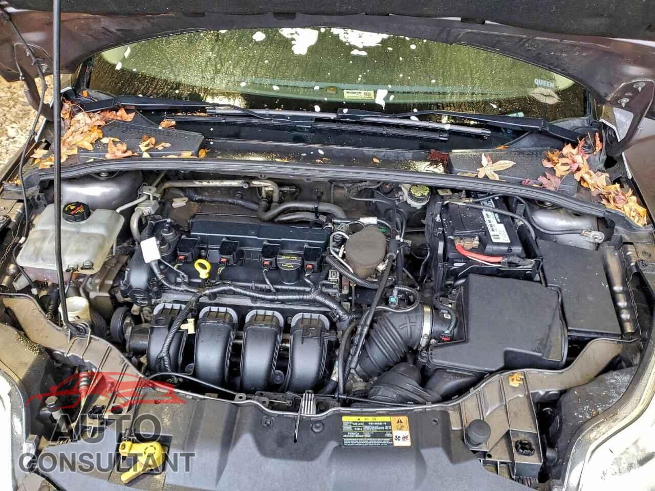 FORD FOCUS 2013 - 1FADP3F23DL267120