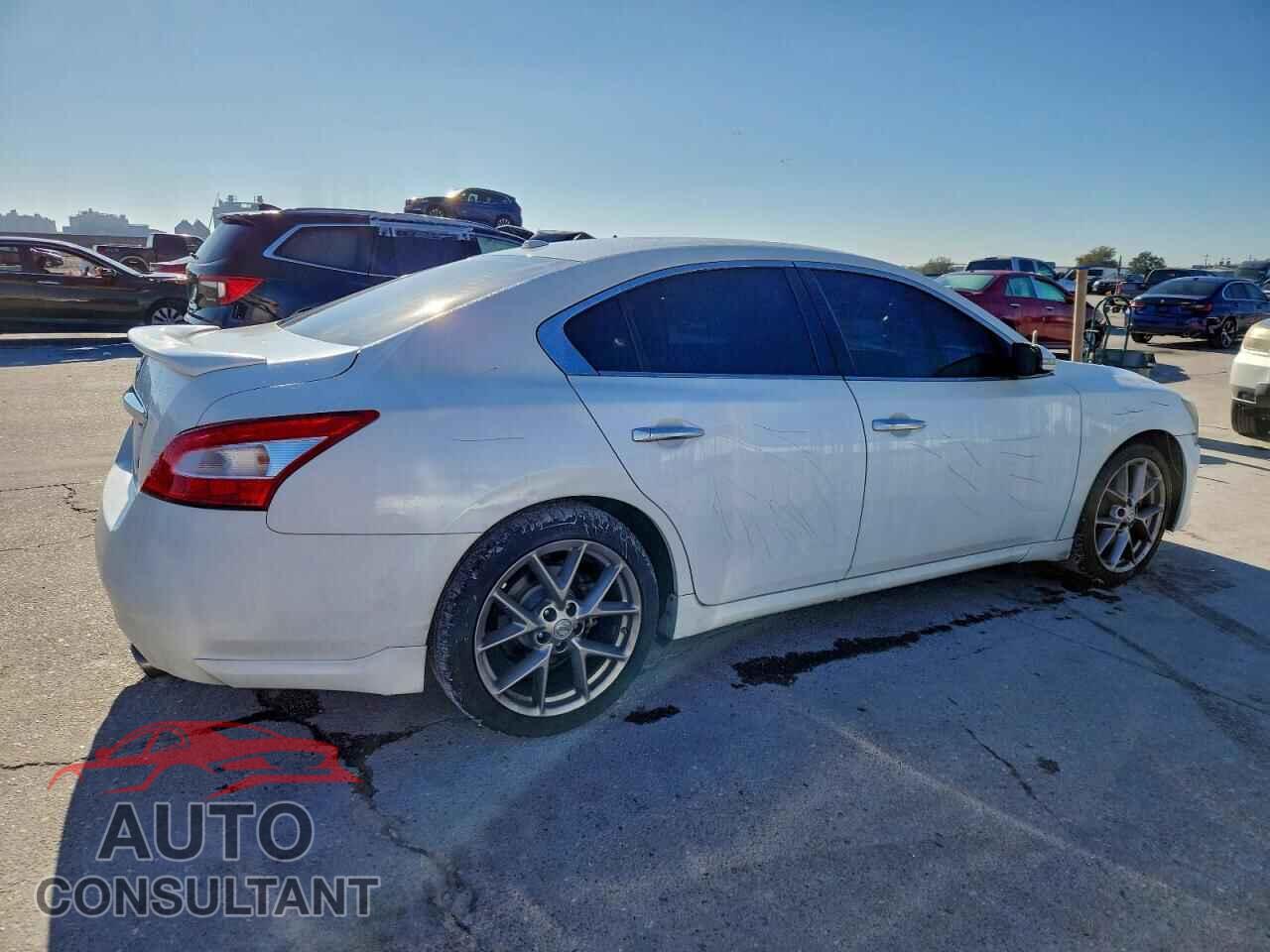 NISSAN MAXIMA 2011 - 1N4AA5AP6BC855707